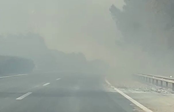 Incendio en una de las salidas de Puerto Real.