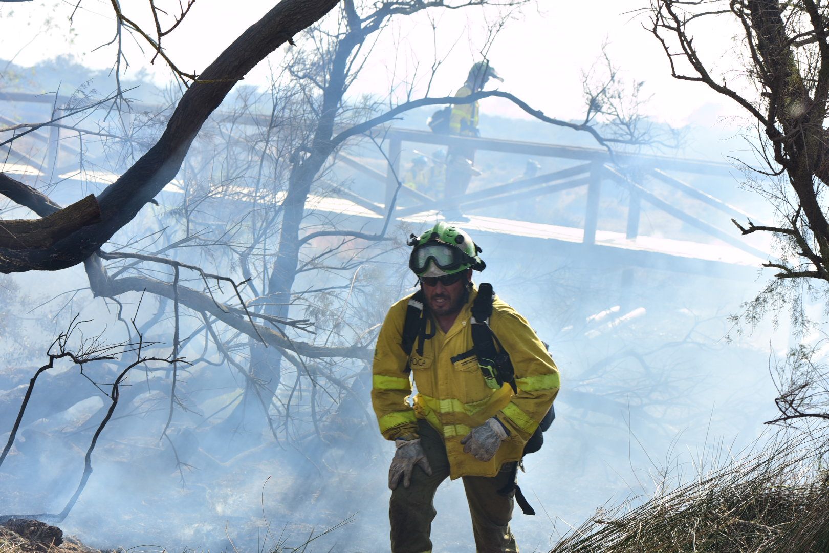 Un bombero forestal actúa en uno de los incendios de este verano en Los Toruños.