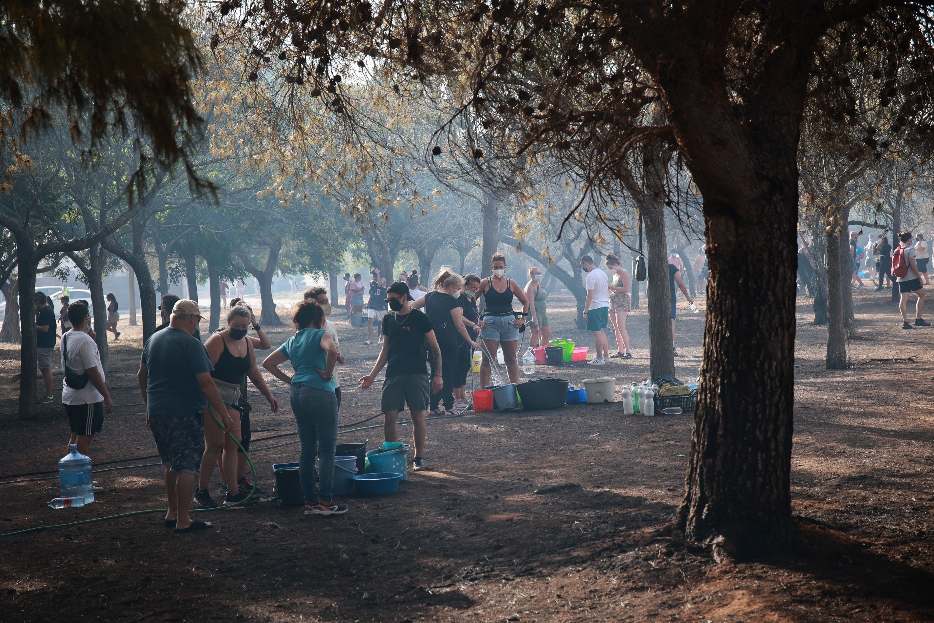 Vecinos entre los pinares.