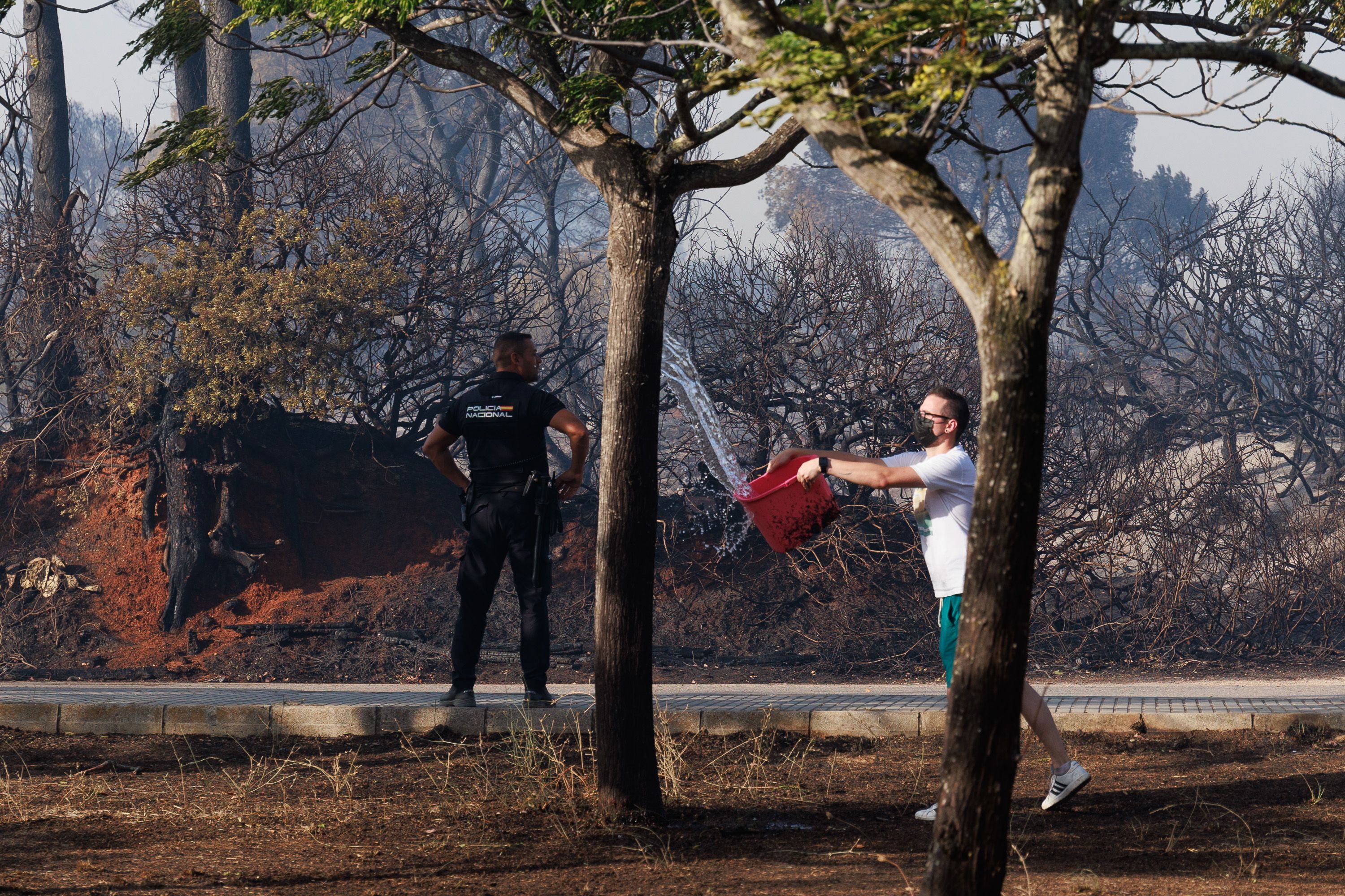 Un vecino humedece la zona.