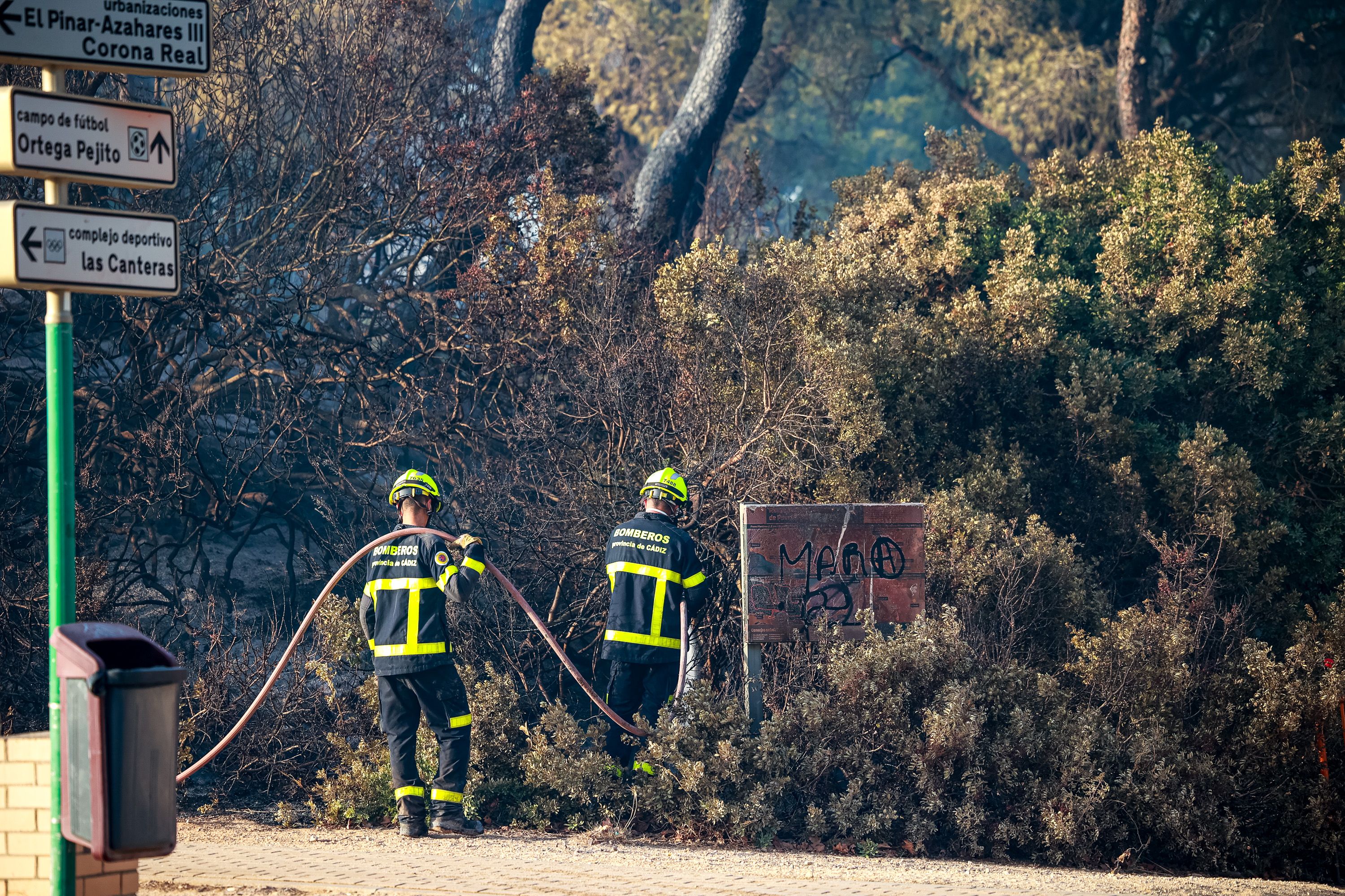 Bomberos en los pinares.