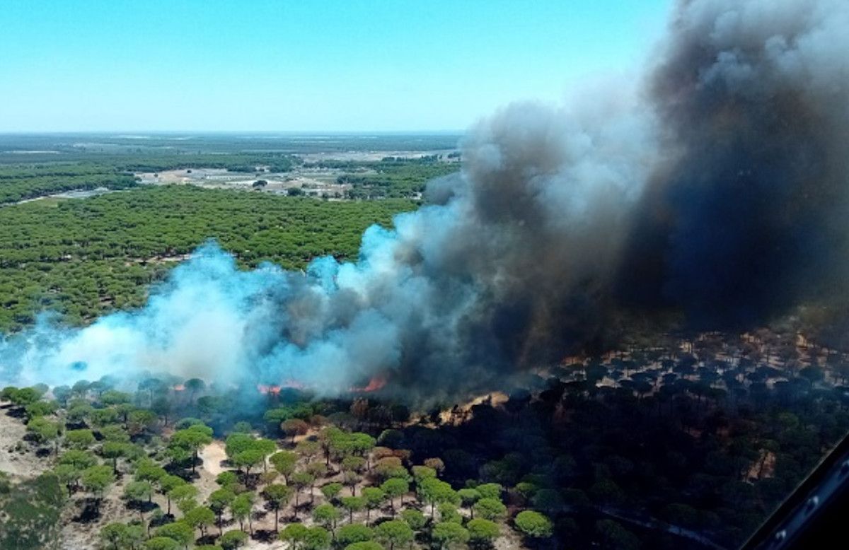 Incendio en Bonares en una imagen reciente. INFOCA