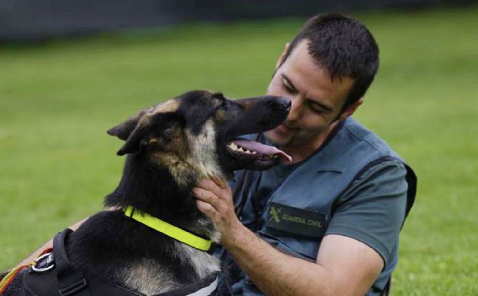 Un agente de la Guardia Civil con un perro de trabajo. 