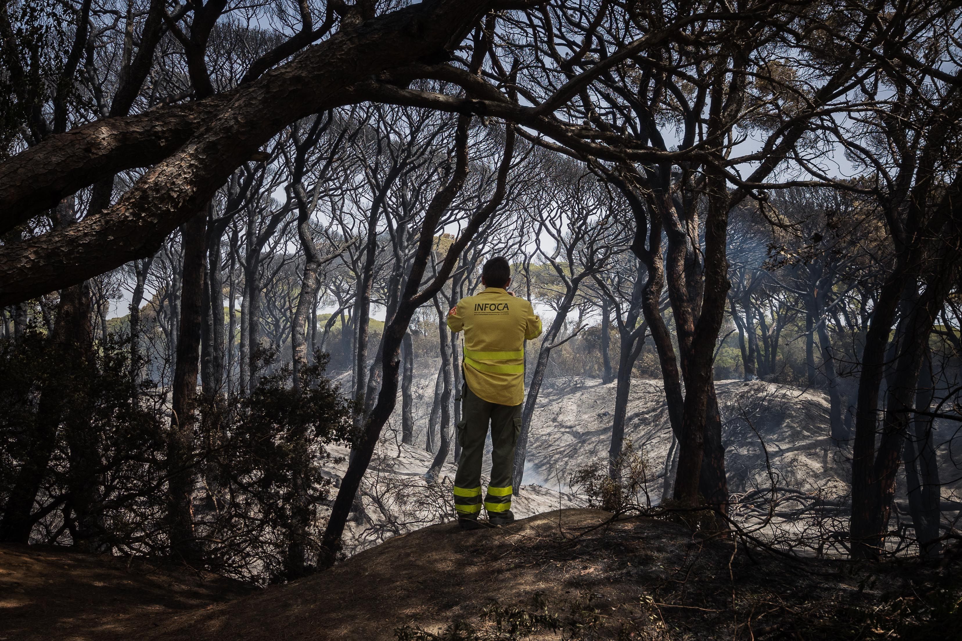 Un bombero del Plan Infoca observa el horizonte del parque de Las Canteras, foco principal del incendio de Puerto Real el pasado verano.