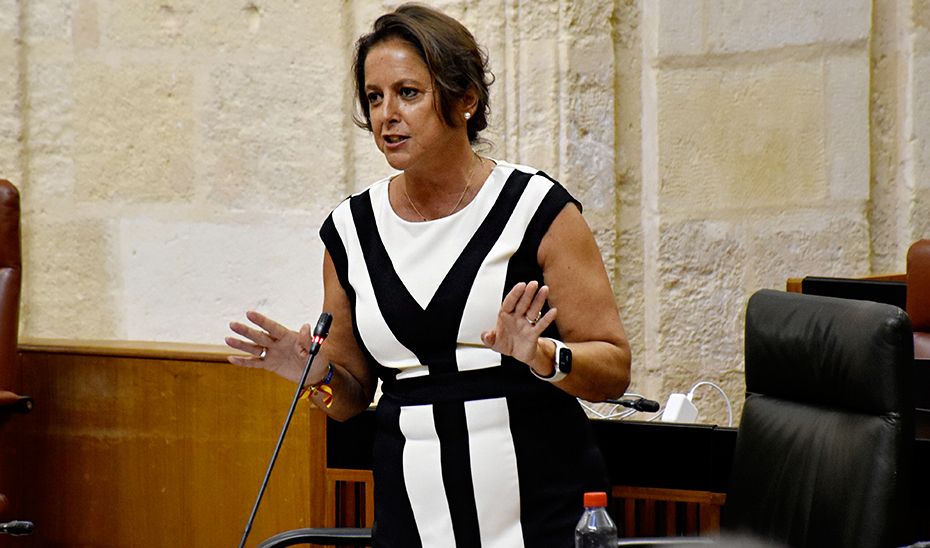 Catalina García, consejera de Salud de la Junta, en una imagen reciente.