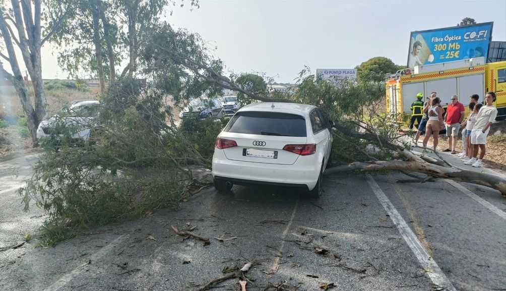 El vehículo dañado por la rama, en una imagen del Consorcio de Bomberos.