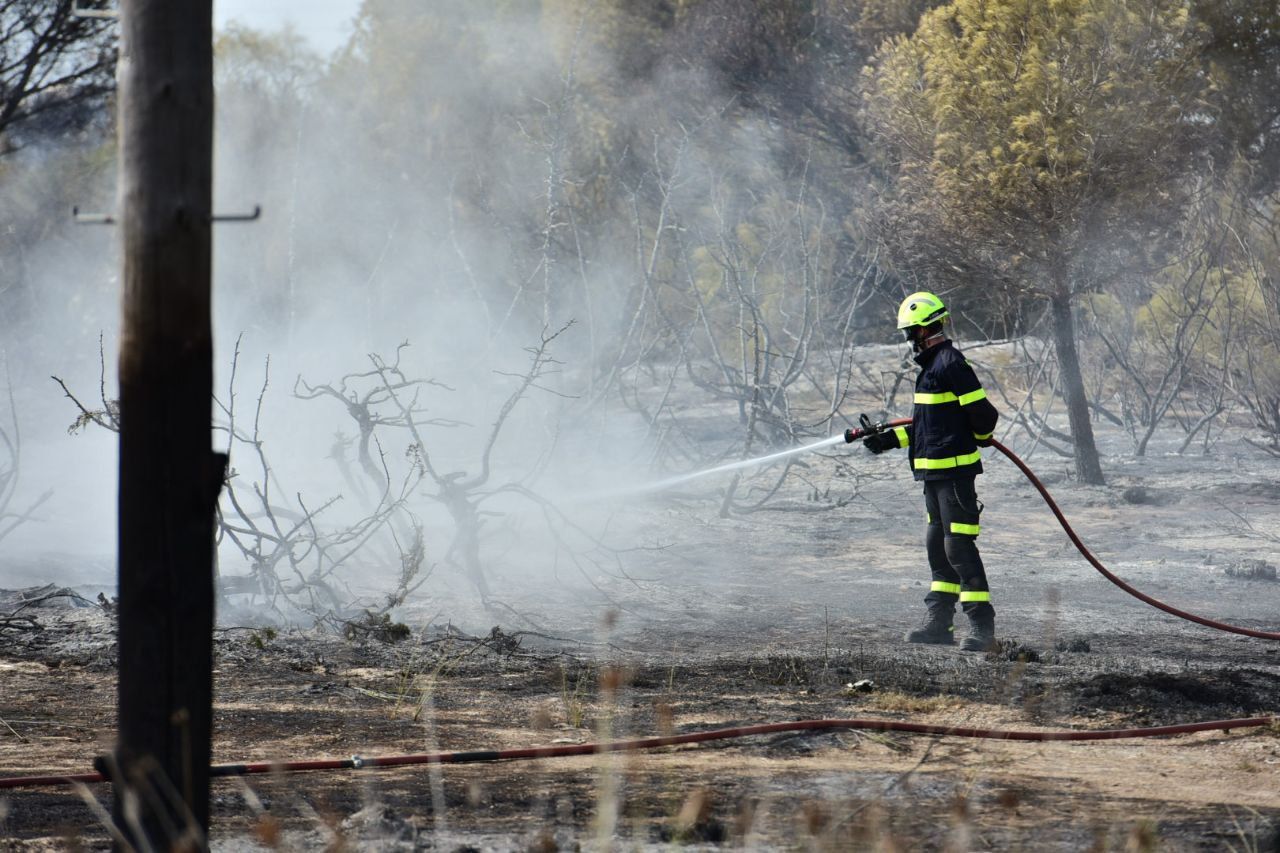 Un bombero actúa en el incendio del Tiro Pichón de El Puerto este martes.