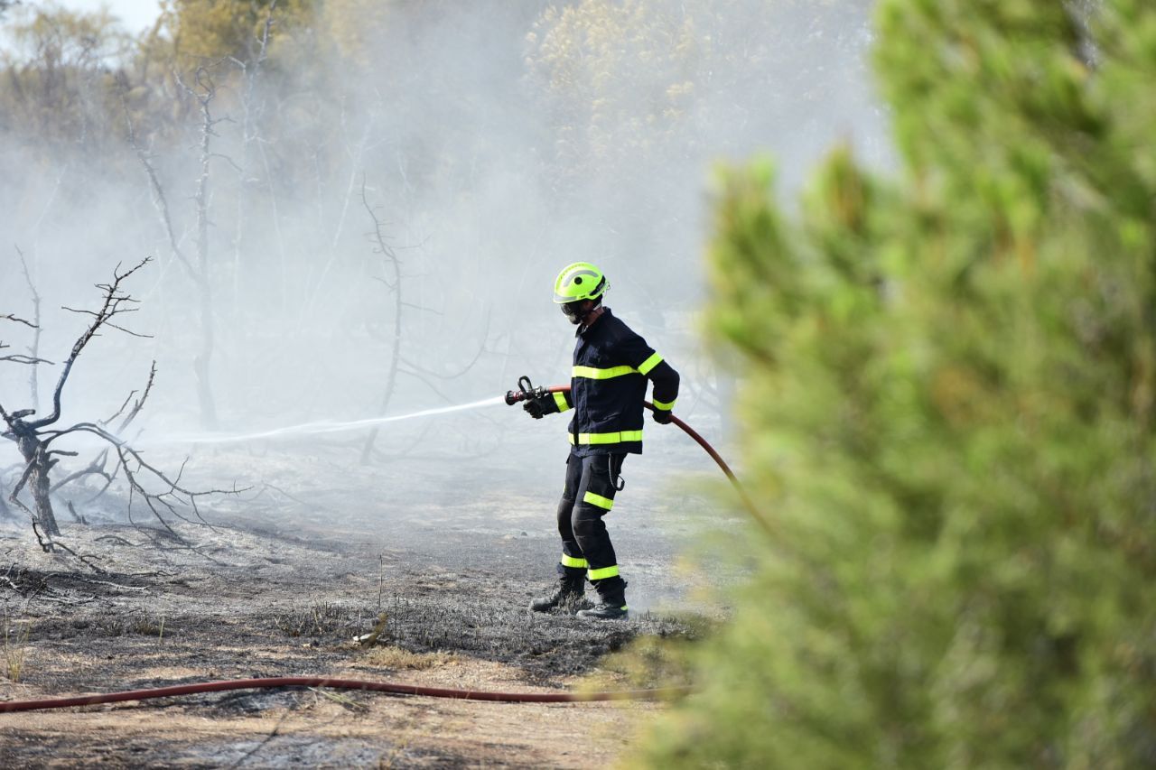 Un bombero en uno de los incendios forestales recientes, en El Puerto.