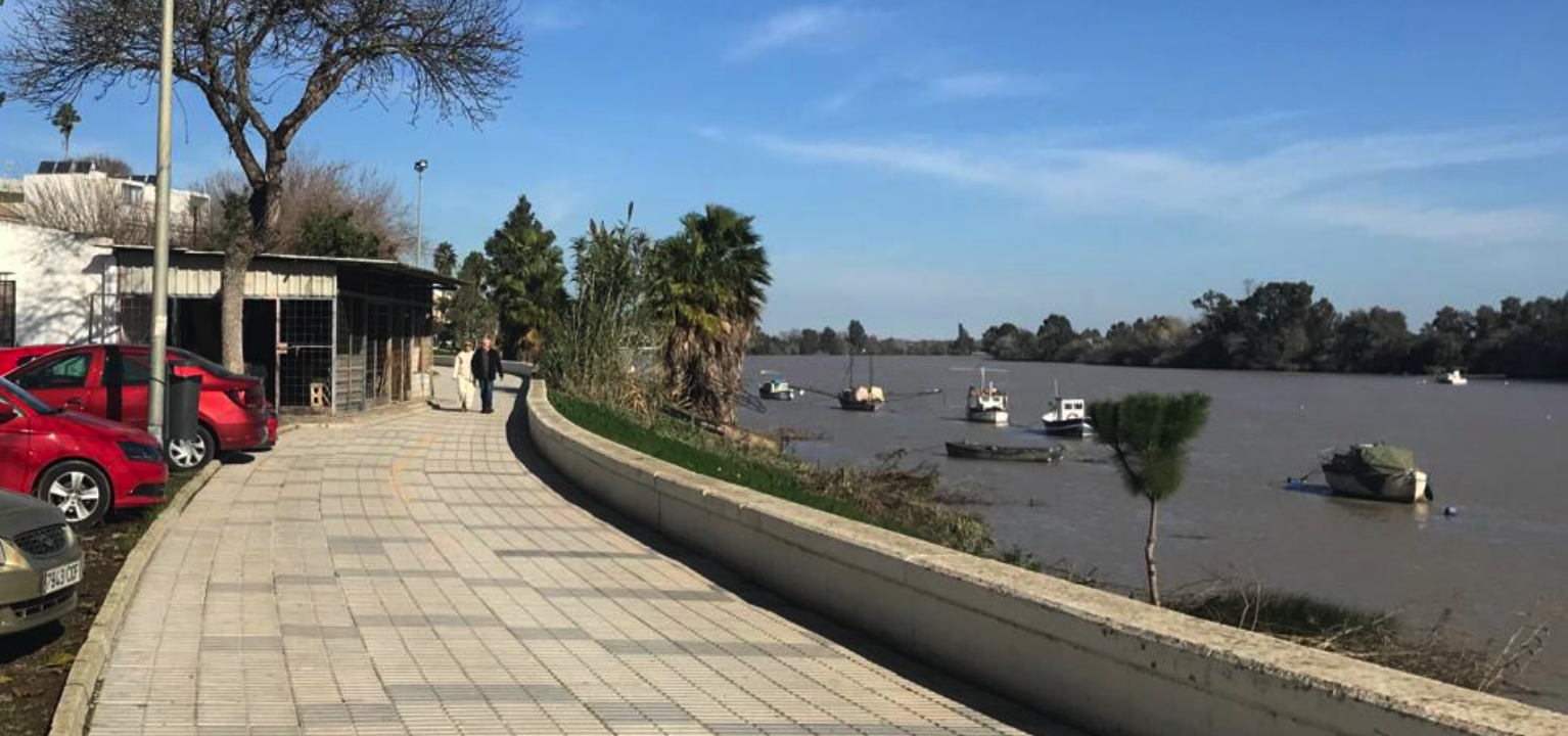 El Ayuntamiento de Coria del río proyecta hacer un carril bici en la ribera