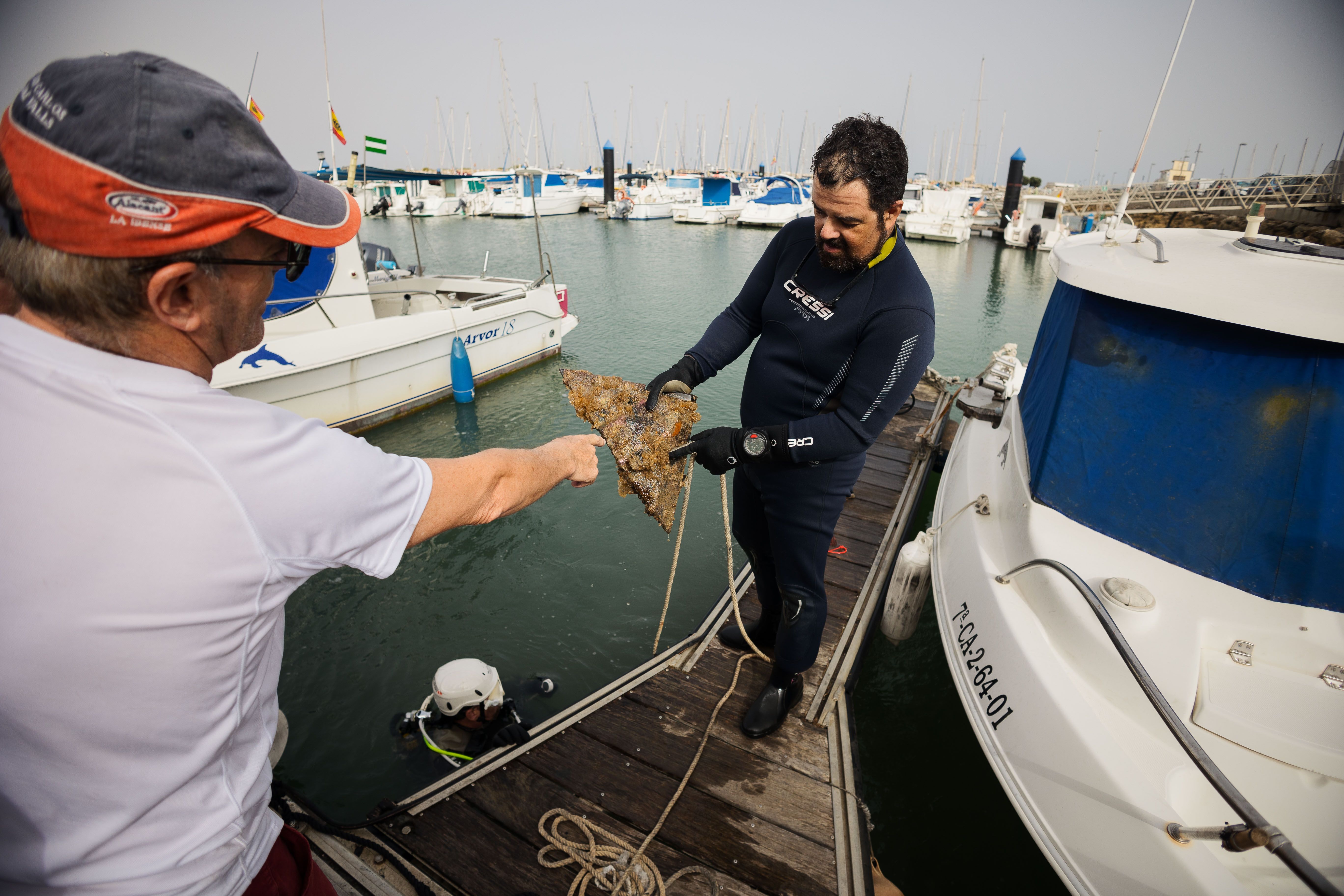 Un pie de sombrilla repleto de huevas.