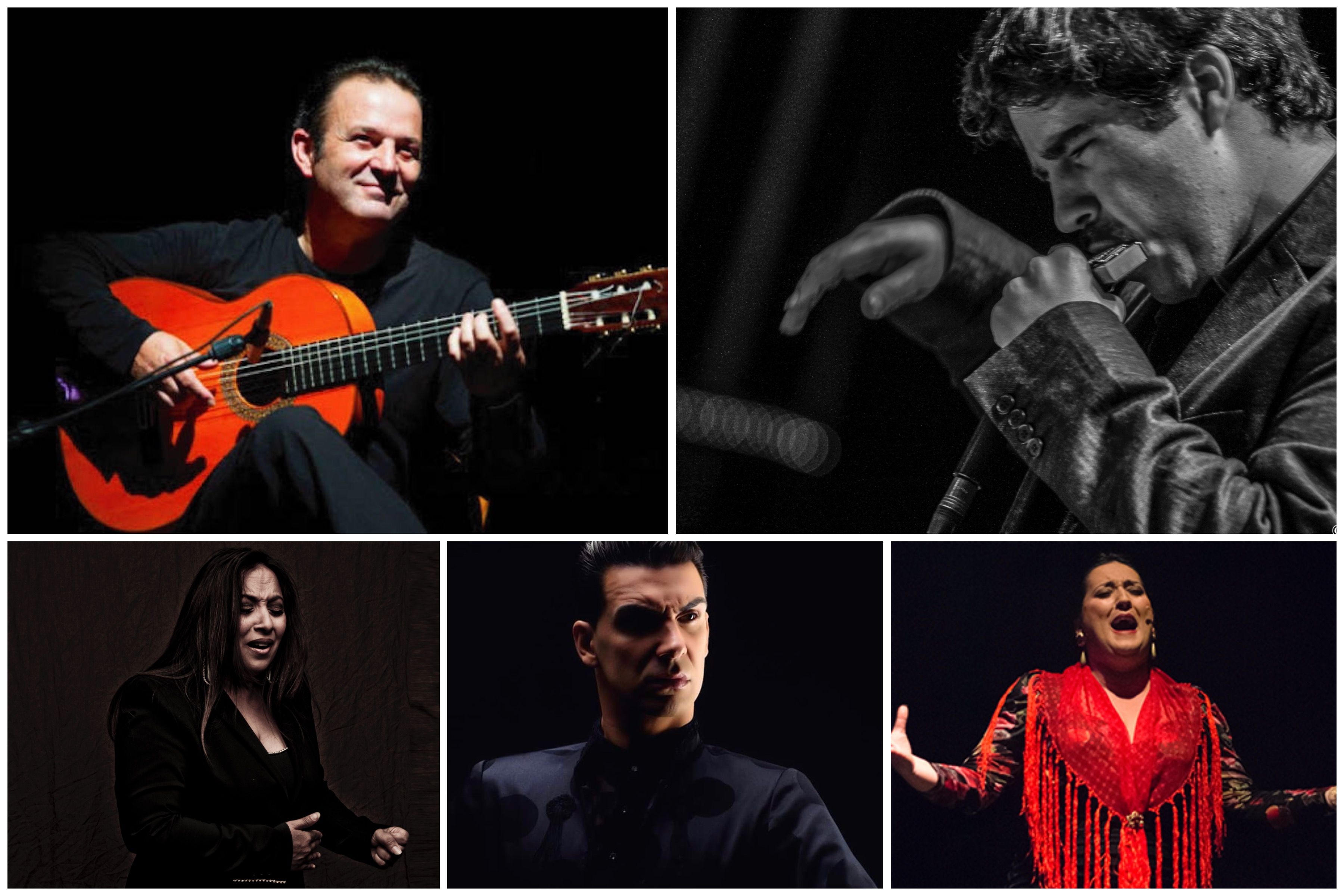 Montse Cortés, May Fernández, Gerardo Núñez y Diego Villegas serán los protagonsitas del primer fin de semana del festivla Patrimonio Flamenco en Cádiz