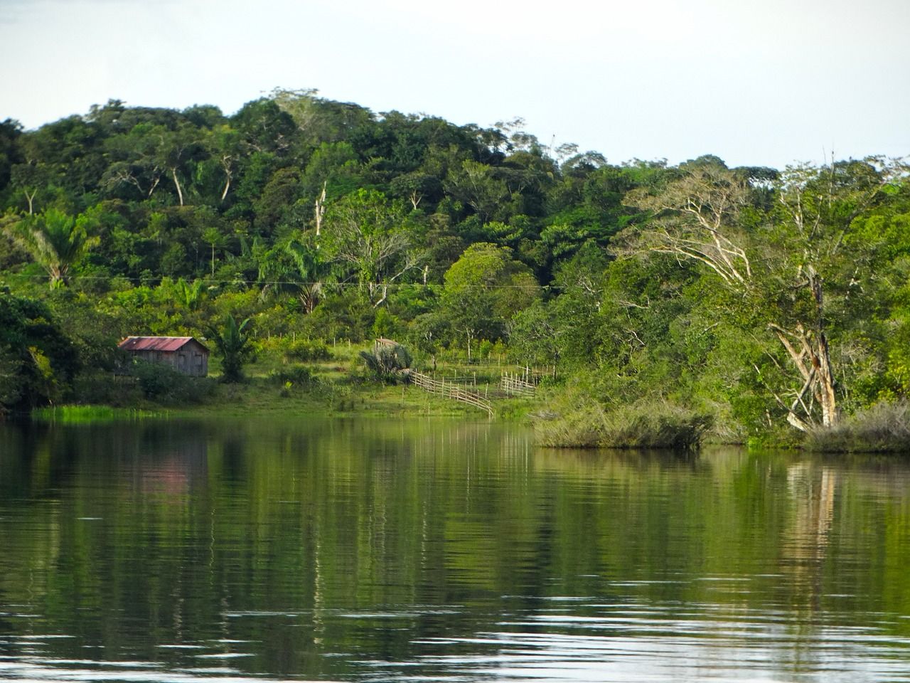 La OCTA está formada por los ocho países de la cuenca del río Amazonas, que da nombre a la Amazonia.
