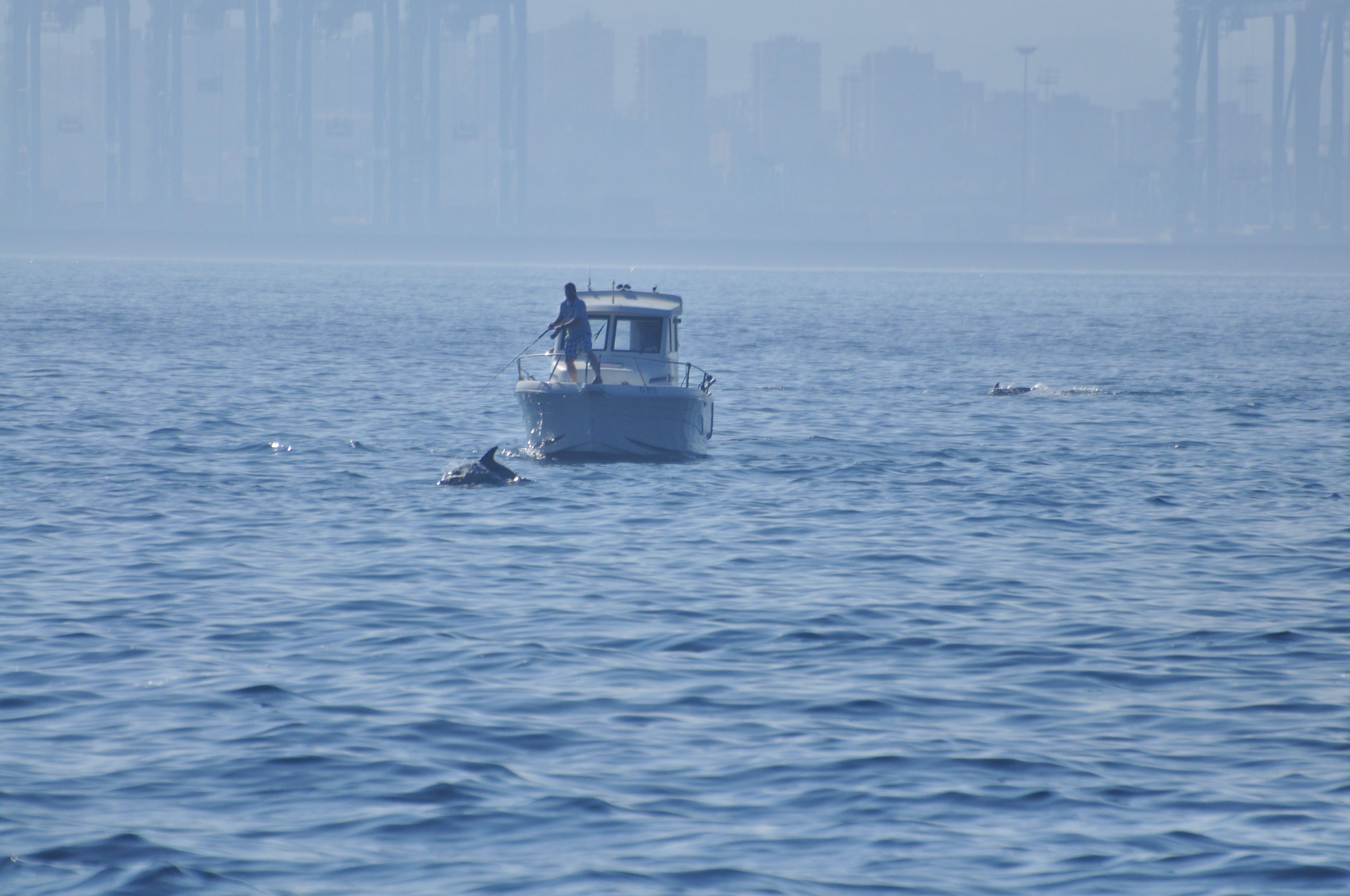 Un barco de pesca en la Bahía de Algeciras.  VERDEMAR