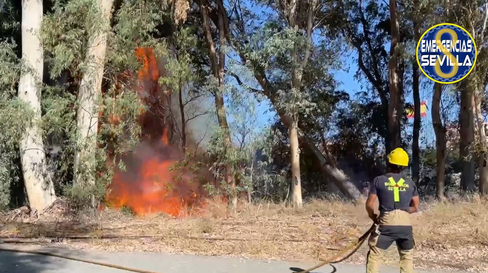 Incendio en el parque del Alamillo, en Sevilla.