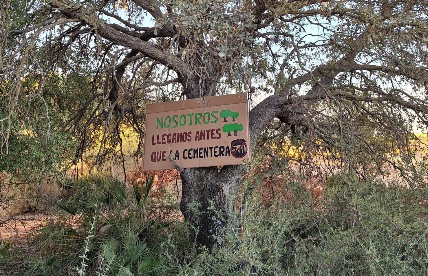 Los carteles de Alwadi-ira-Ecologistas alertan de la situación del paraje de la Dehesa Nueva en Alcalá de Guadaíra, Sevilla