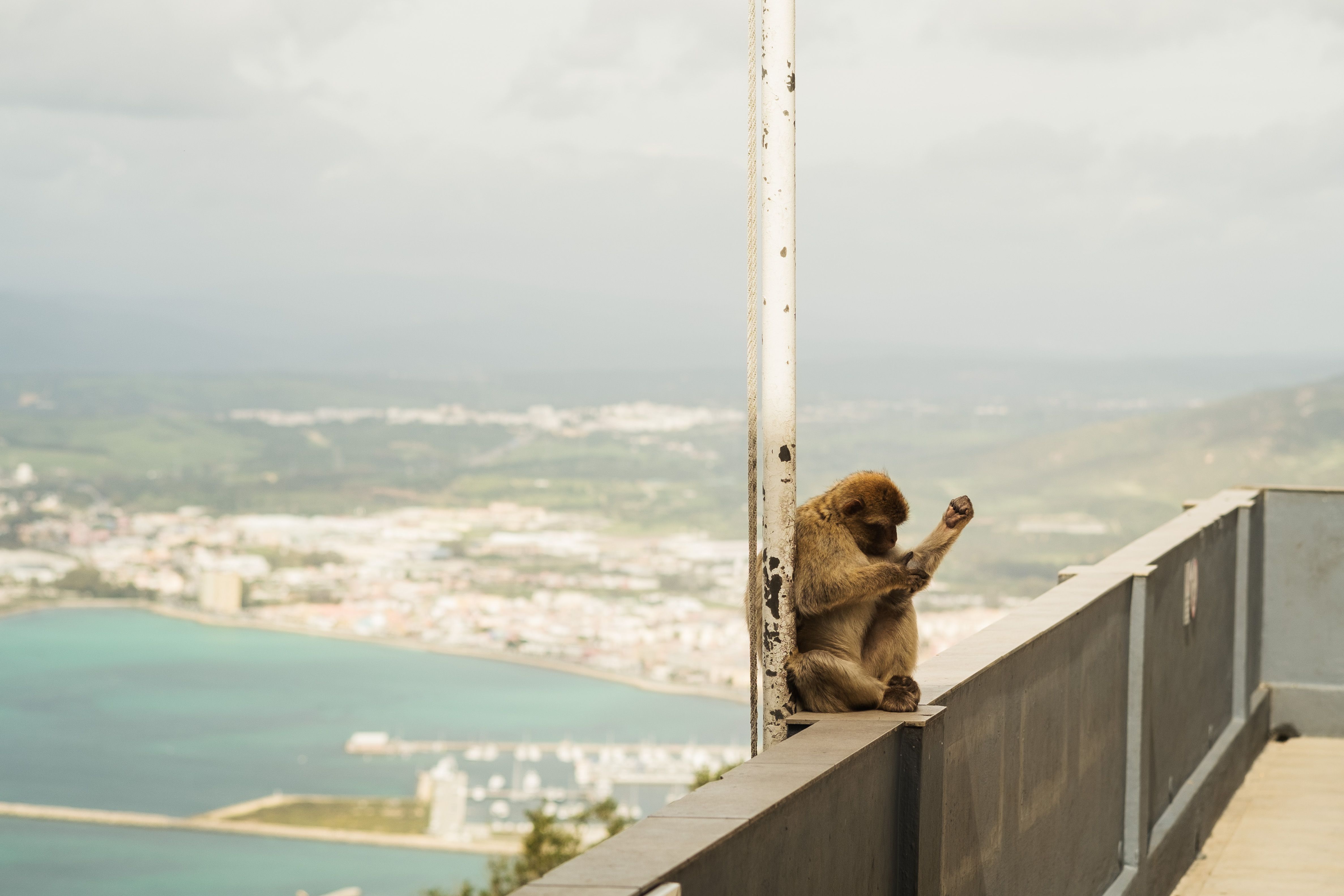 Un paseo por el Peñón de Gibraltar.