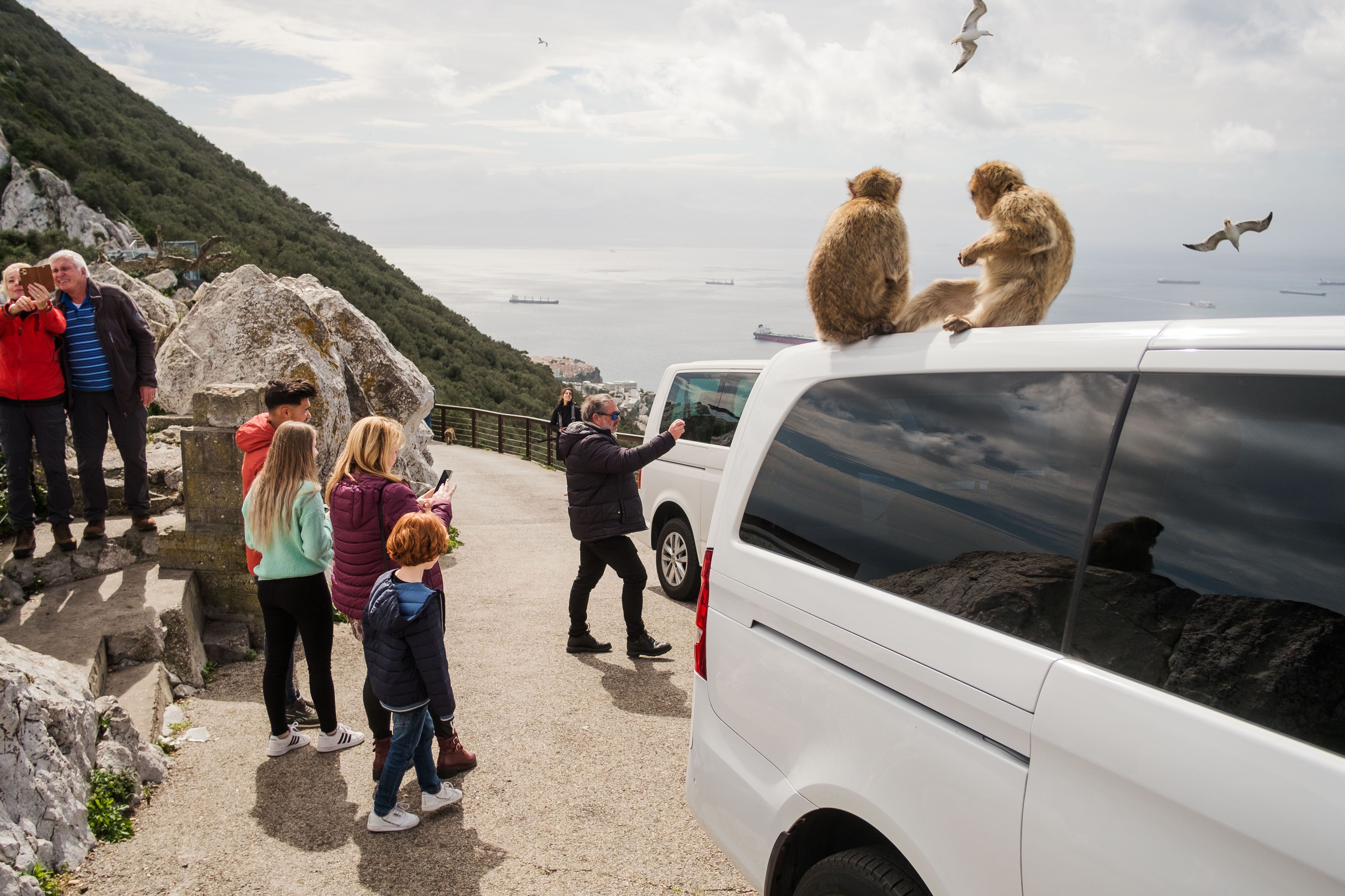 Un paseo por el Peñón de Gibraltar