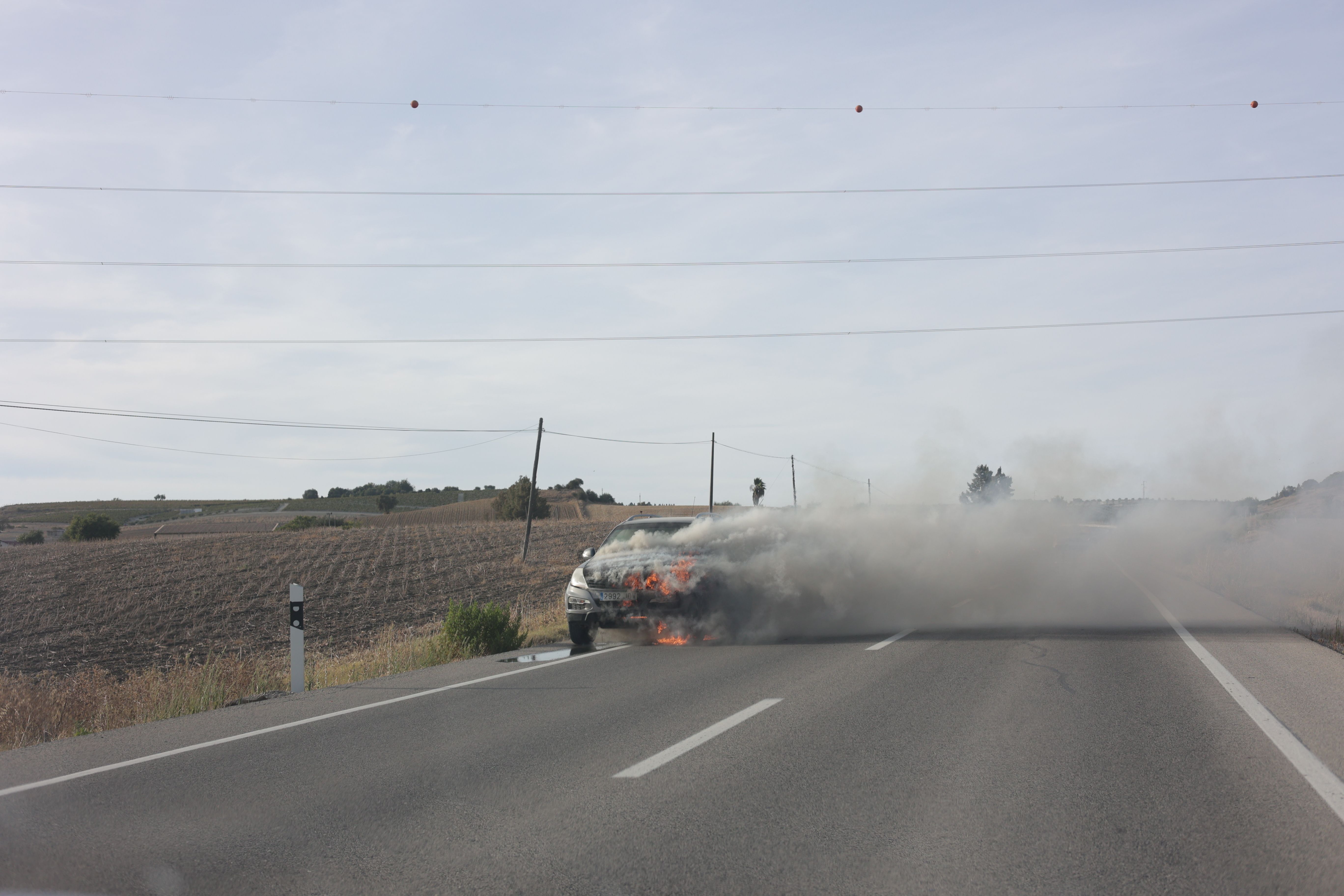 El vehículo ardiendo en la carretera entre Trebujena y Jerez.