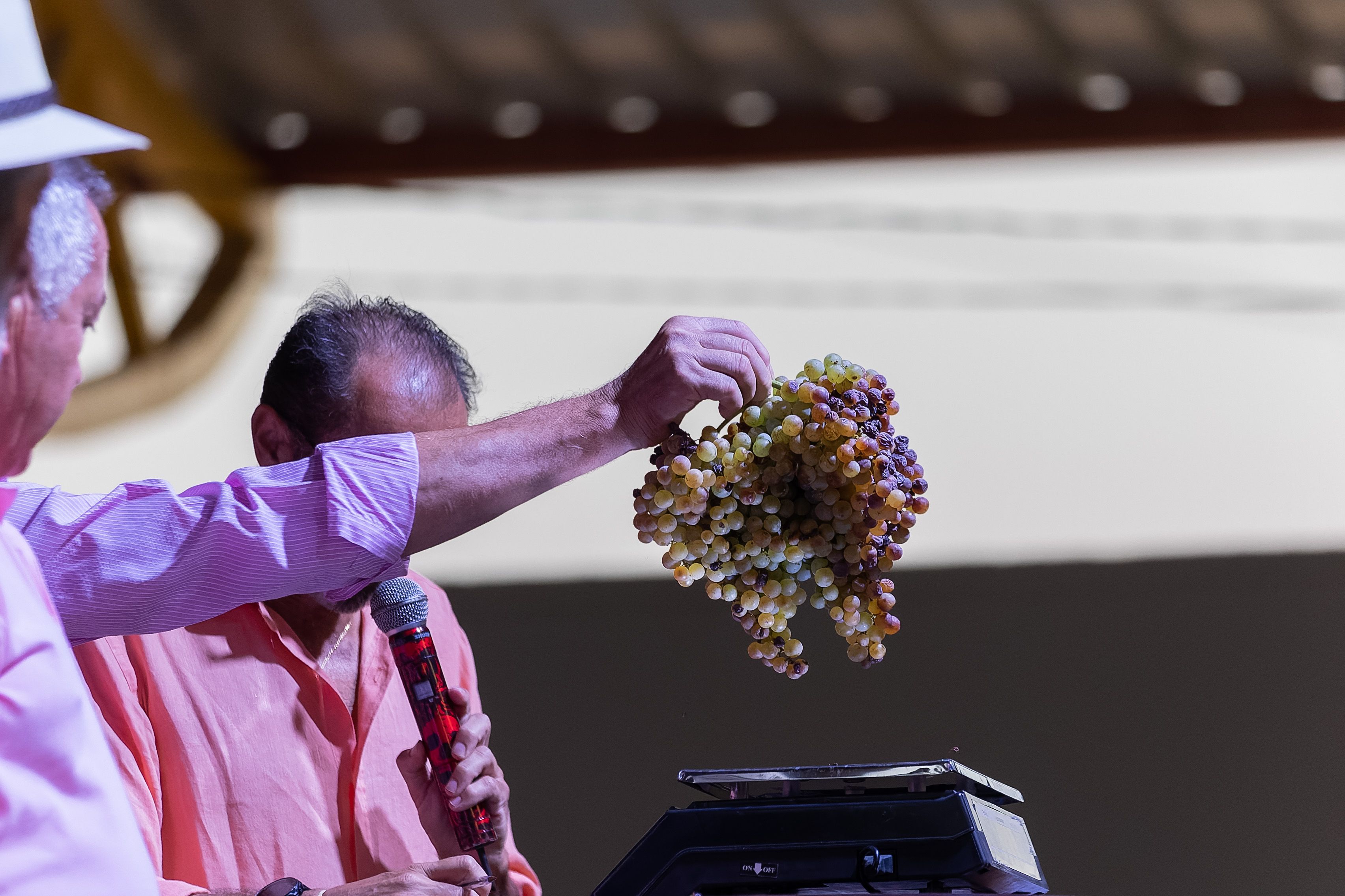 Entrega del racimo de oro en la feria de Trebujena 2023