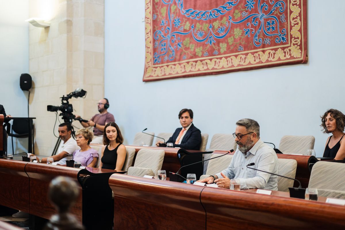 PLENO MUNICIPAL JEREZ AGOSTO 20 PSOE RUBEN PEREZ