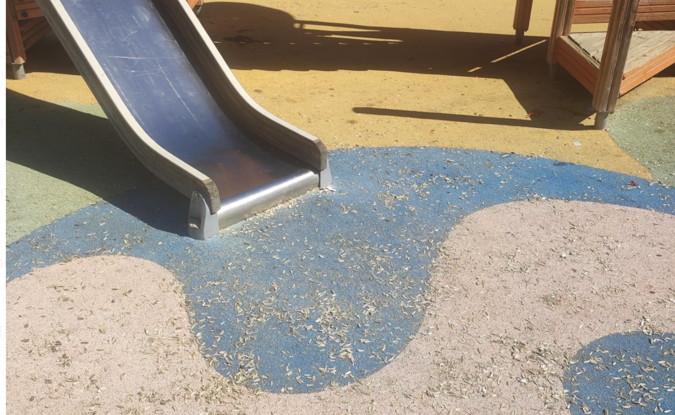 Captura de pantalla 2023 08 17 a las 11.56.00