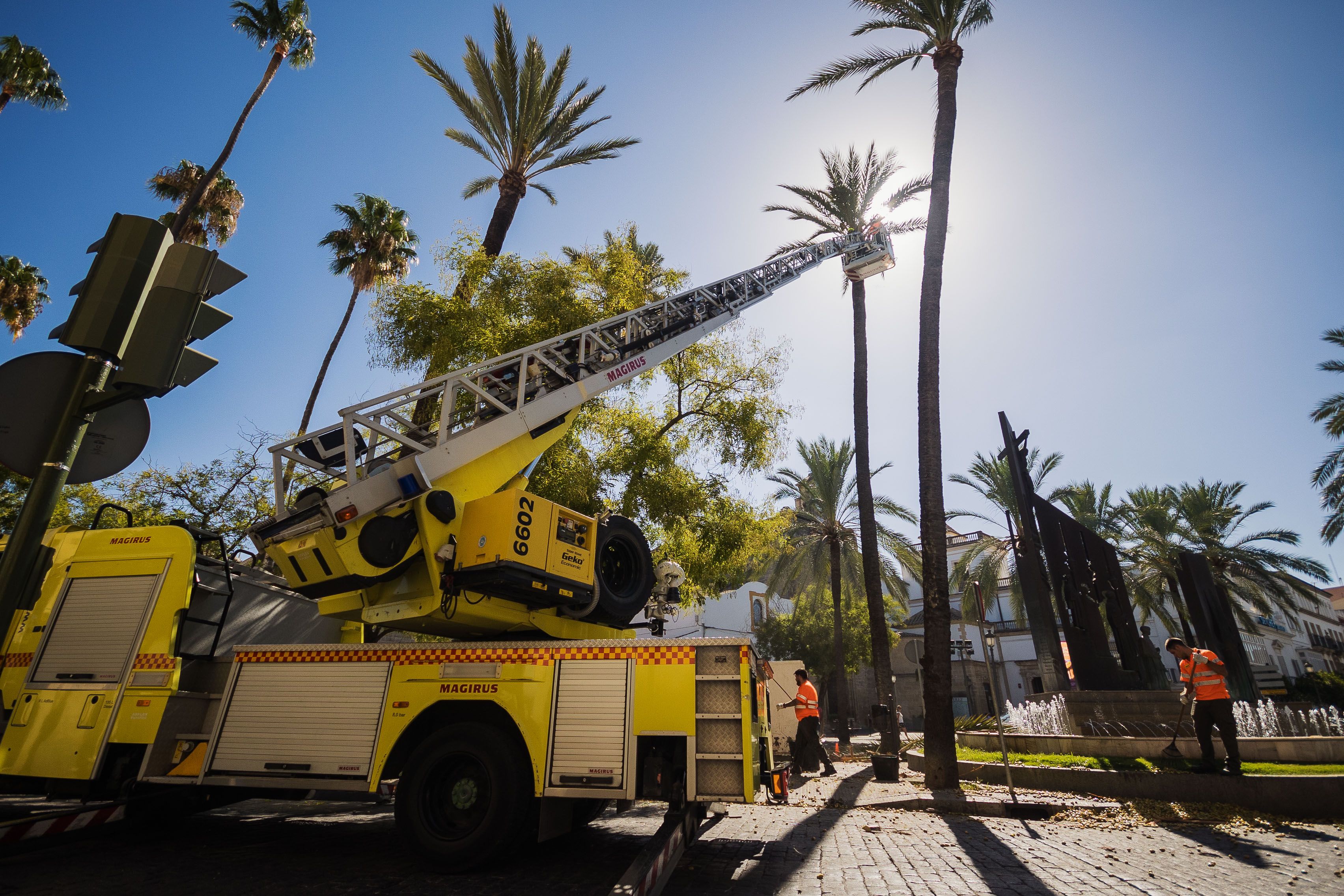 La escala del camión de bomberos desplegada para alcanzar las palmeras más altas.