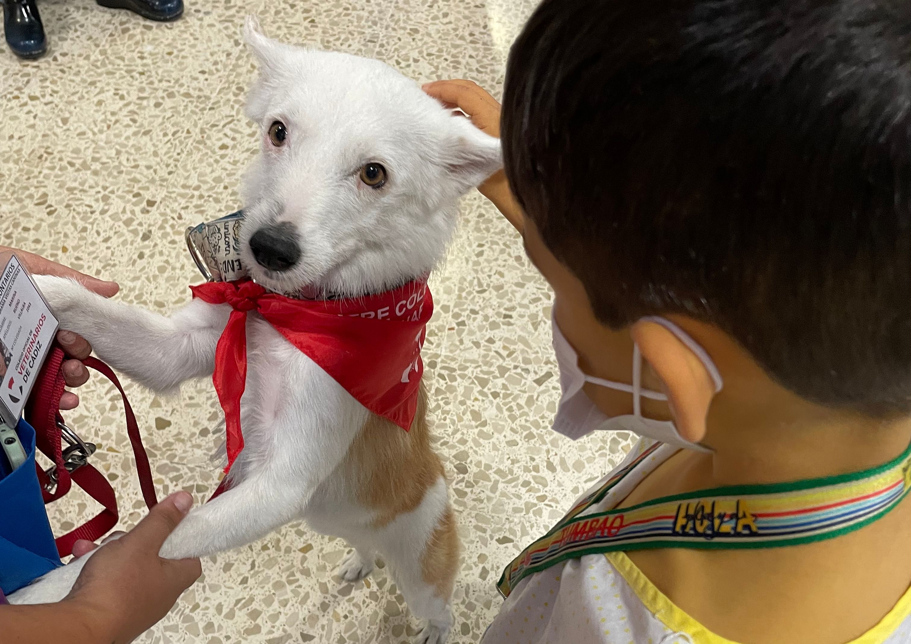 Visitas caninas en el Hospital Puerta del Mar de Cádiz.