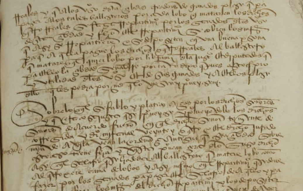 Reproducción de un fragmento del acta capitular, conservado en el Archivo Municipal, con el acuerdo para pagar por matar lobos. 