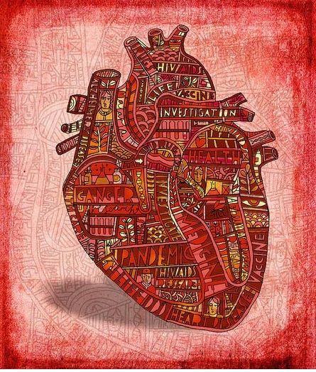 ¿Dónde estás corazón?. Ilustración de  John French.