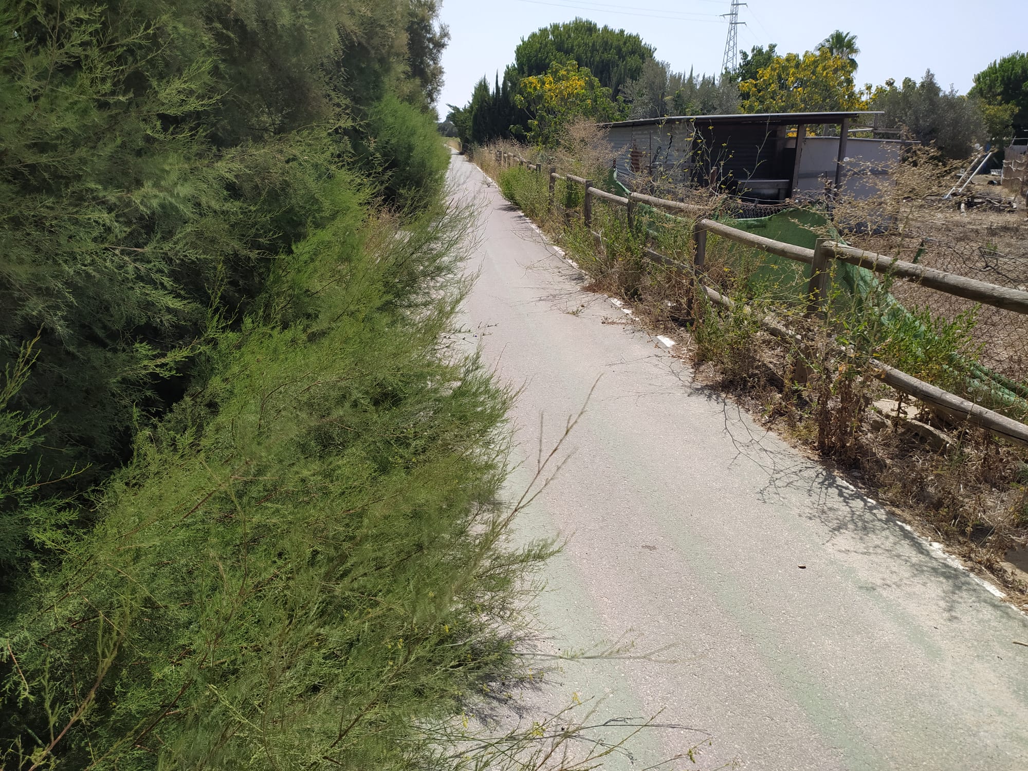 El estado del carril bici de Rota.