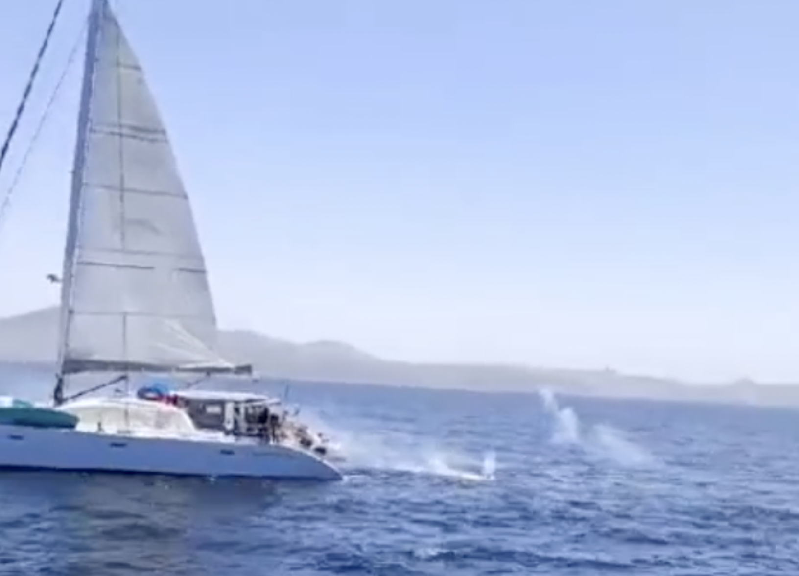 Vídeo subido por Tarifatoday sobre el supuesto ataque a unas orcas en el Estrecho de Gibraltar. 