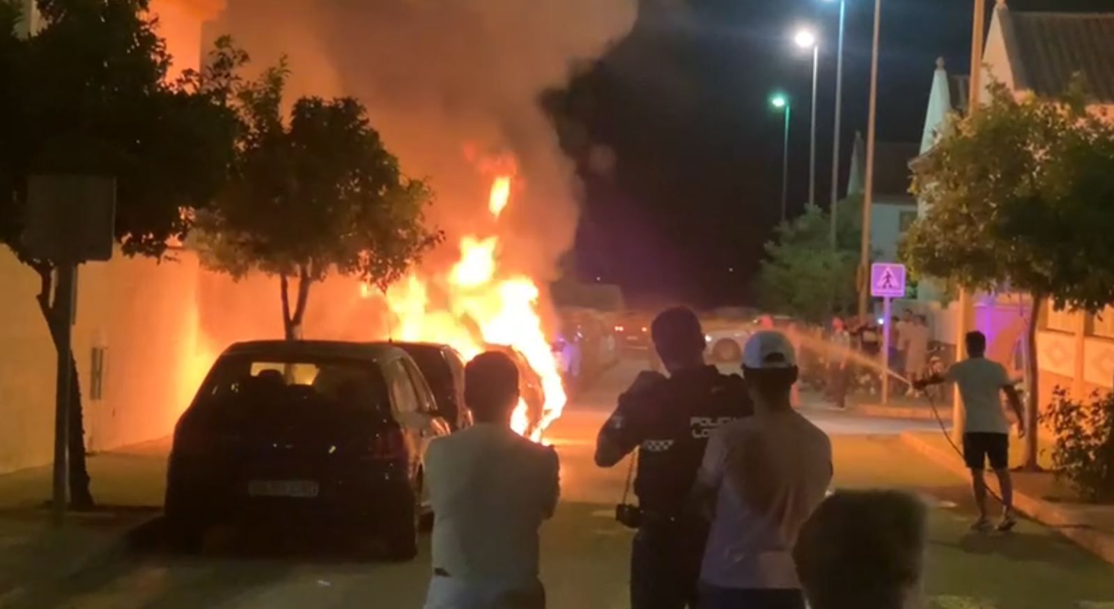 Un momento del incendio esta noche en Guadalcacín.