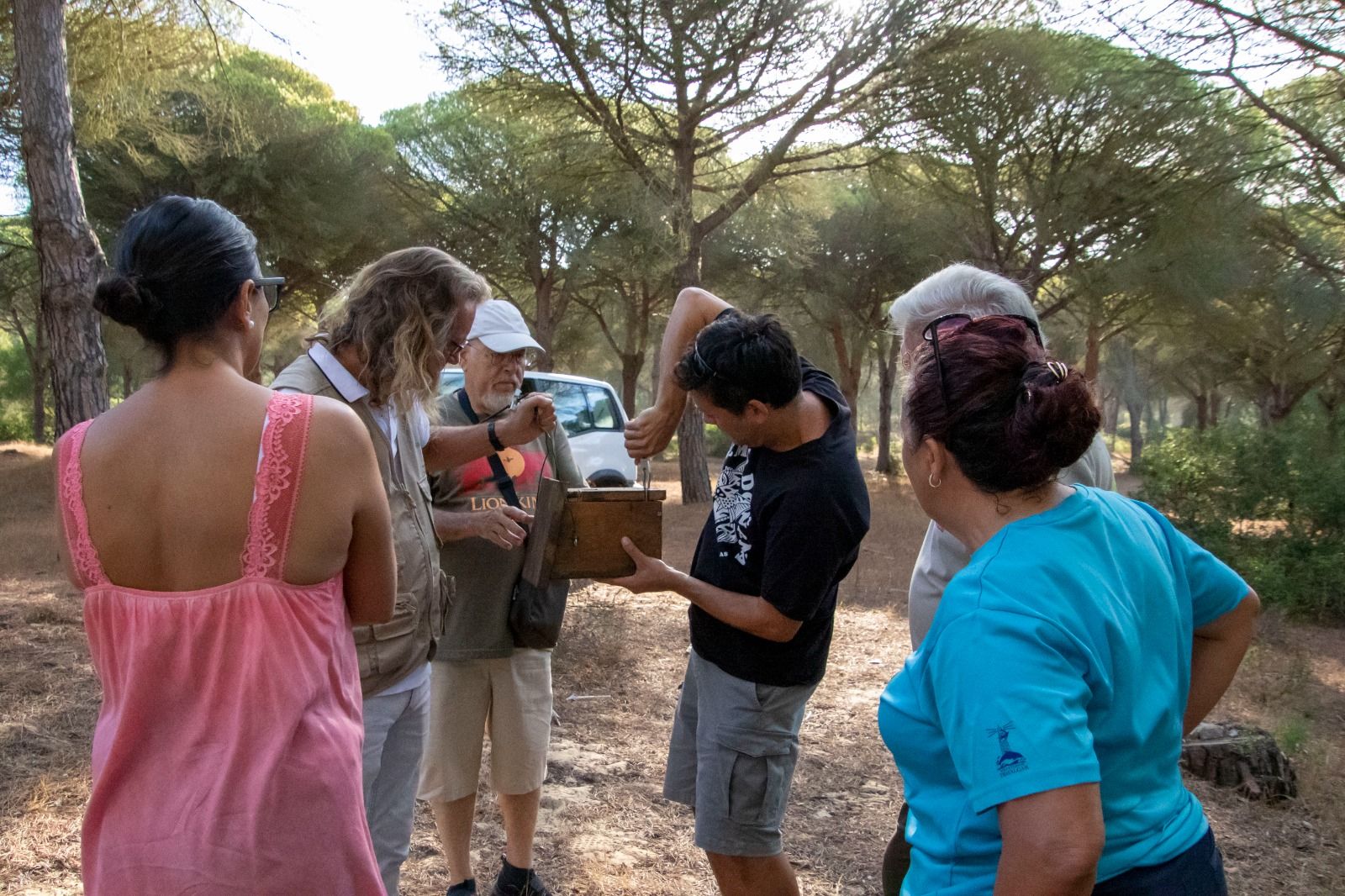 Voluntarios colocando las 'cajas nido' en La Breña de Barbate.