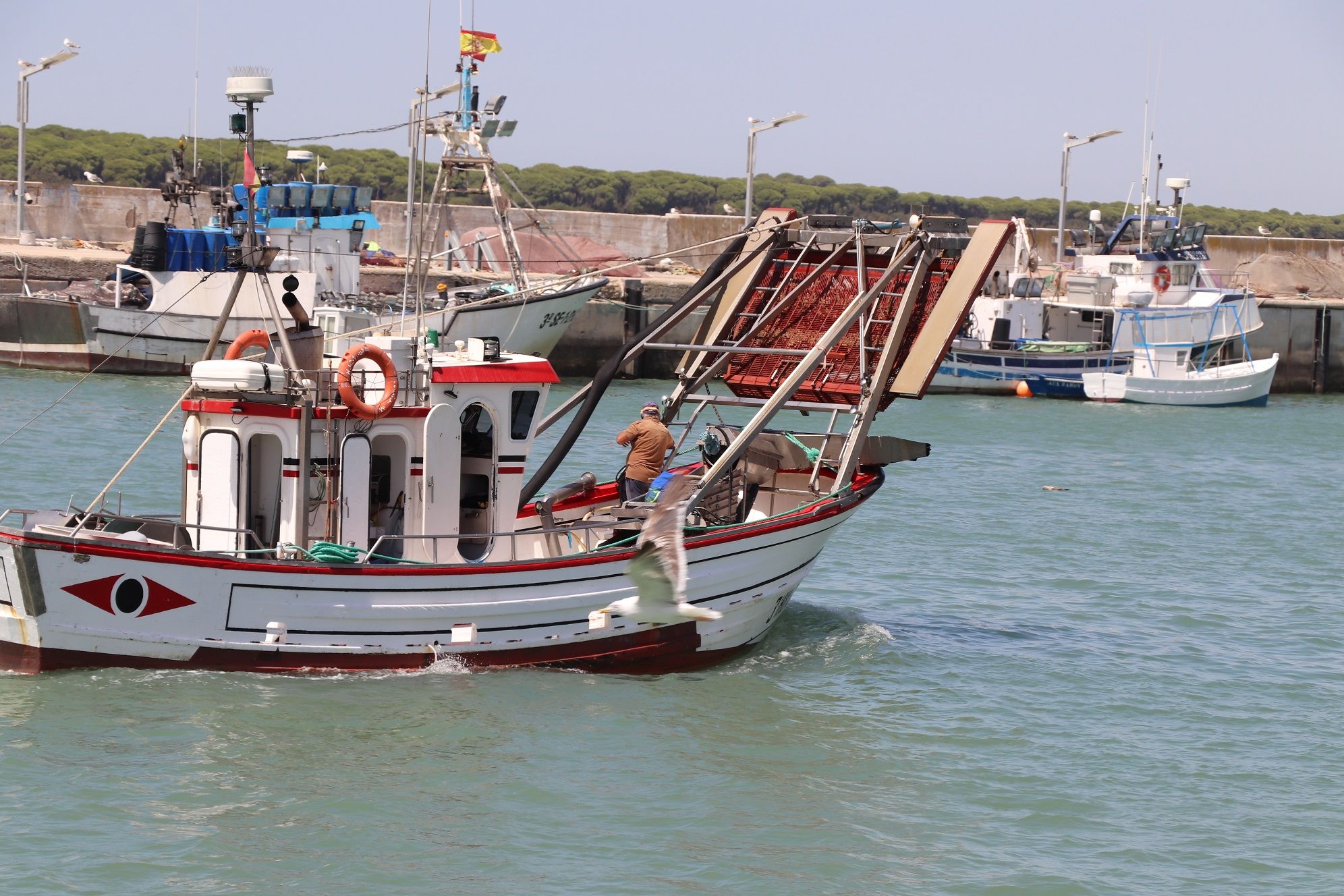 Un barco de pesca en Barbate.