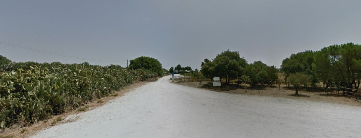 La finca Los Alburejos.