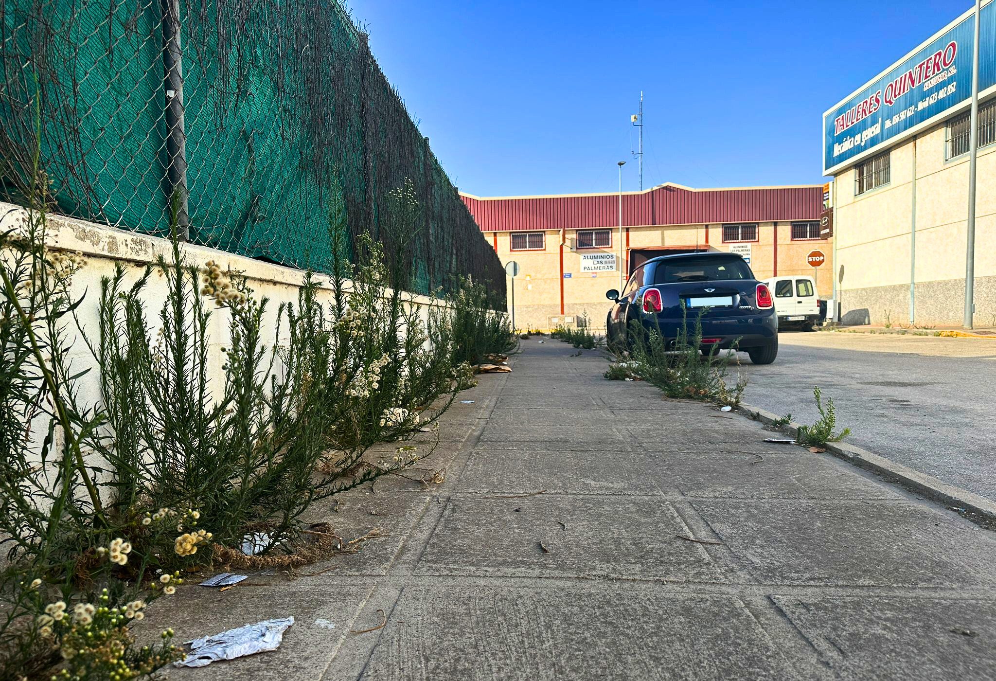 Estado de Las Palmeras - Cuesta Blanca en Sanlúcar.