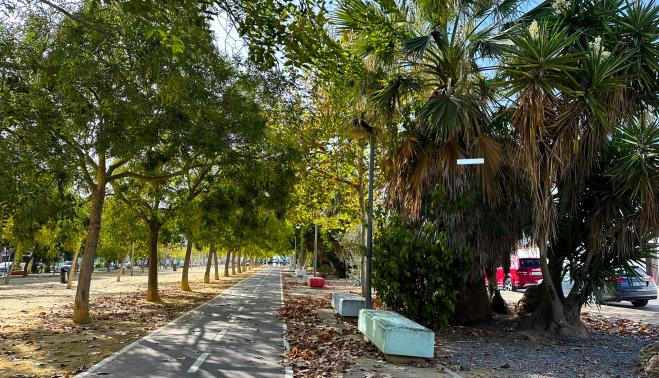 Las Palmeras Agosto23 (6)