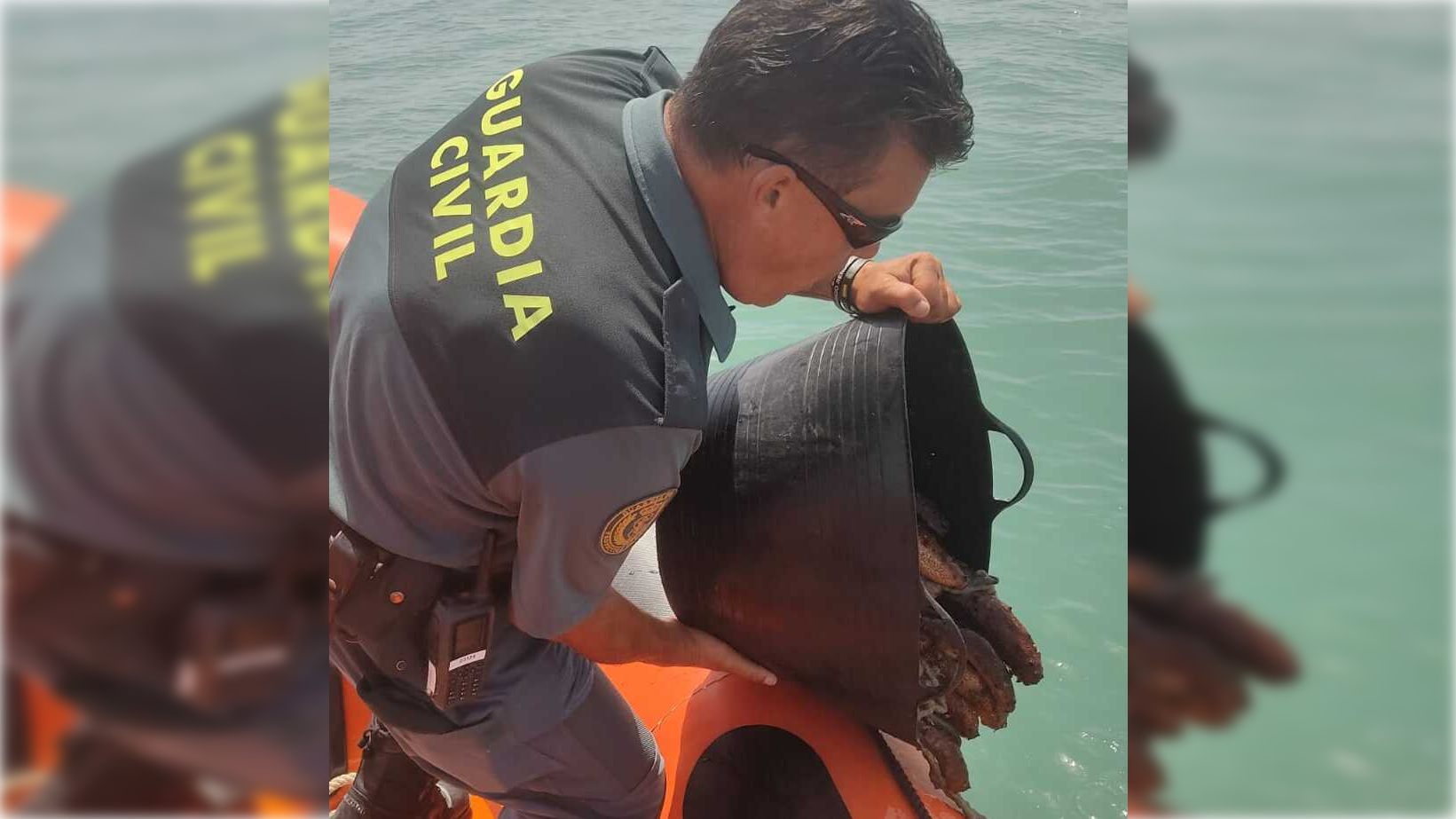 Los pepinos de mar fueron devueltos por los agentes que llevaron a cabo la operación.