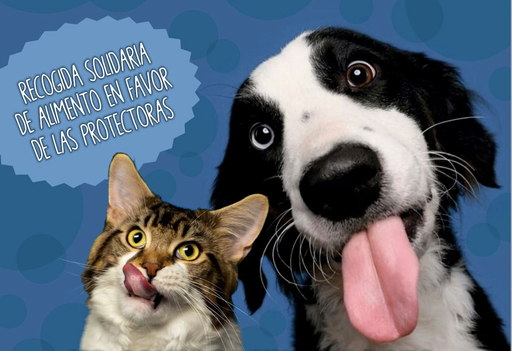 Cartel que anuncia la feria de este sábado. 