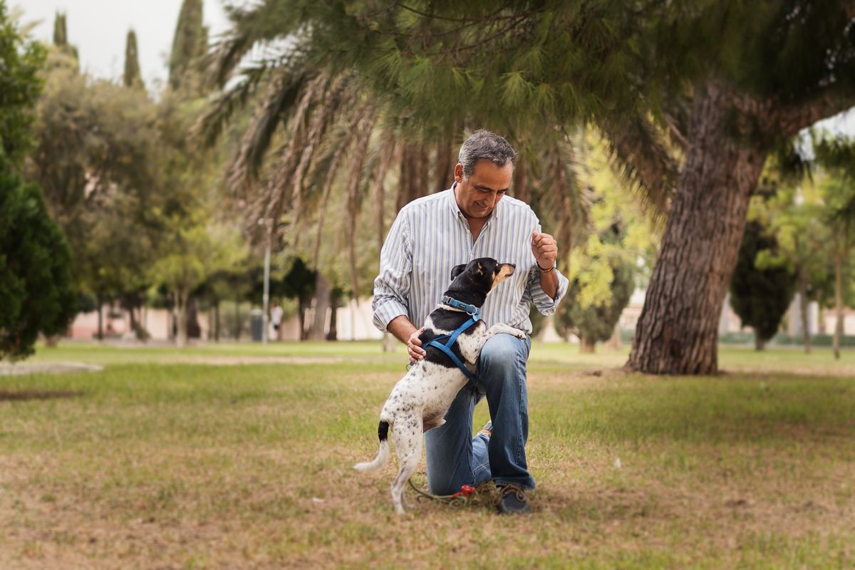 ENRIQUE GUTIÉRREZ 3