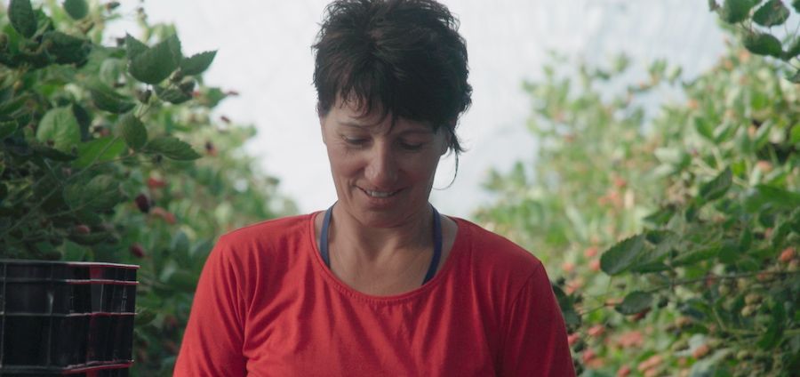 Sandica Balcinoiu, una recolectora de fresa que participa en el documental. 