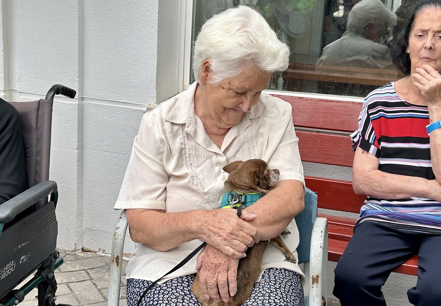 Visita de perros a la residencia de mayores de Sanlúcar. AYTO DE SANLÚCAR
