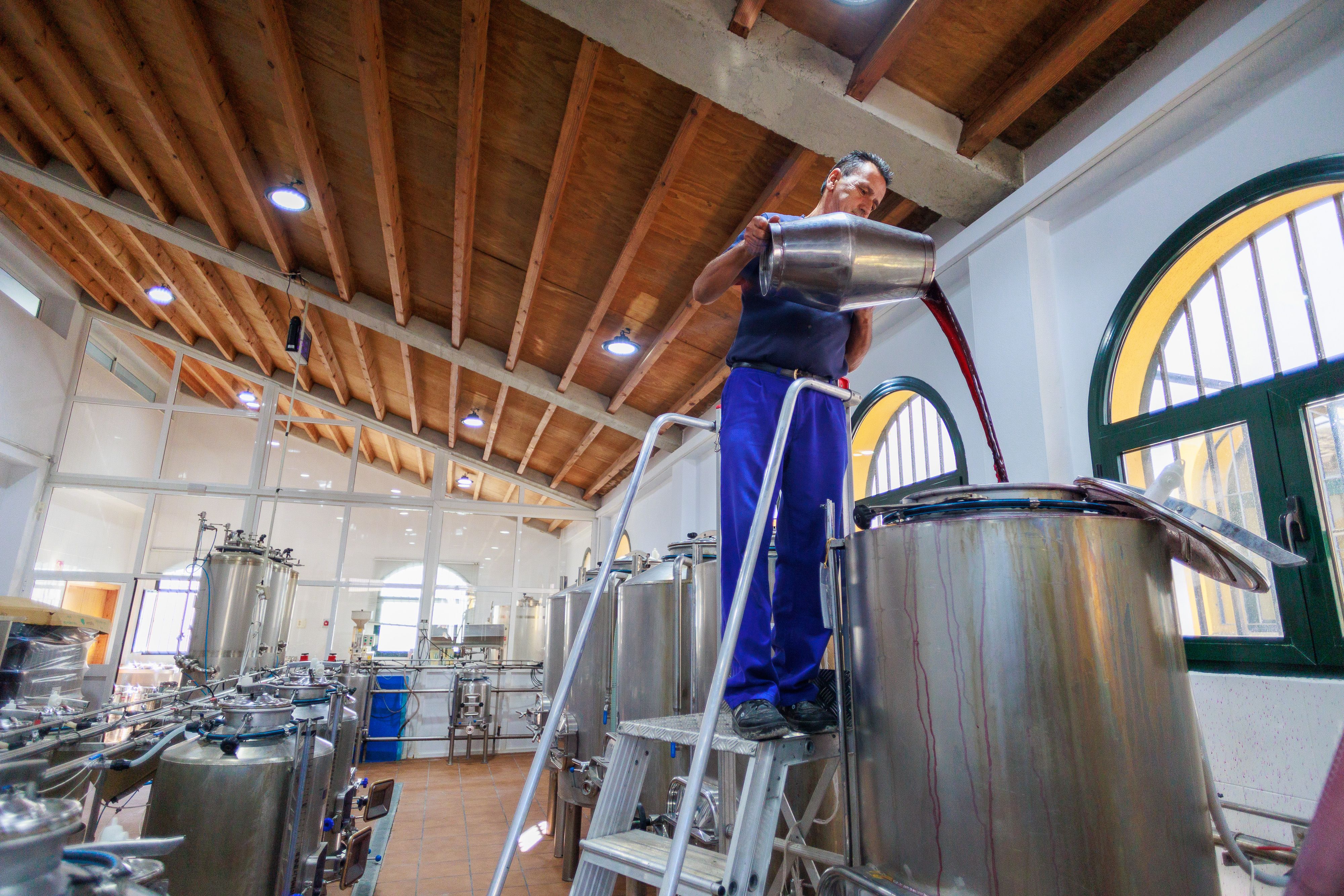 El proceso de fermentación de los tintos incluye trasiego.