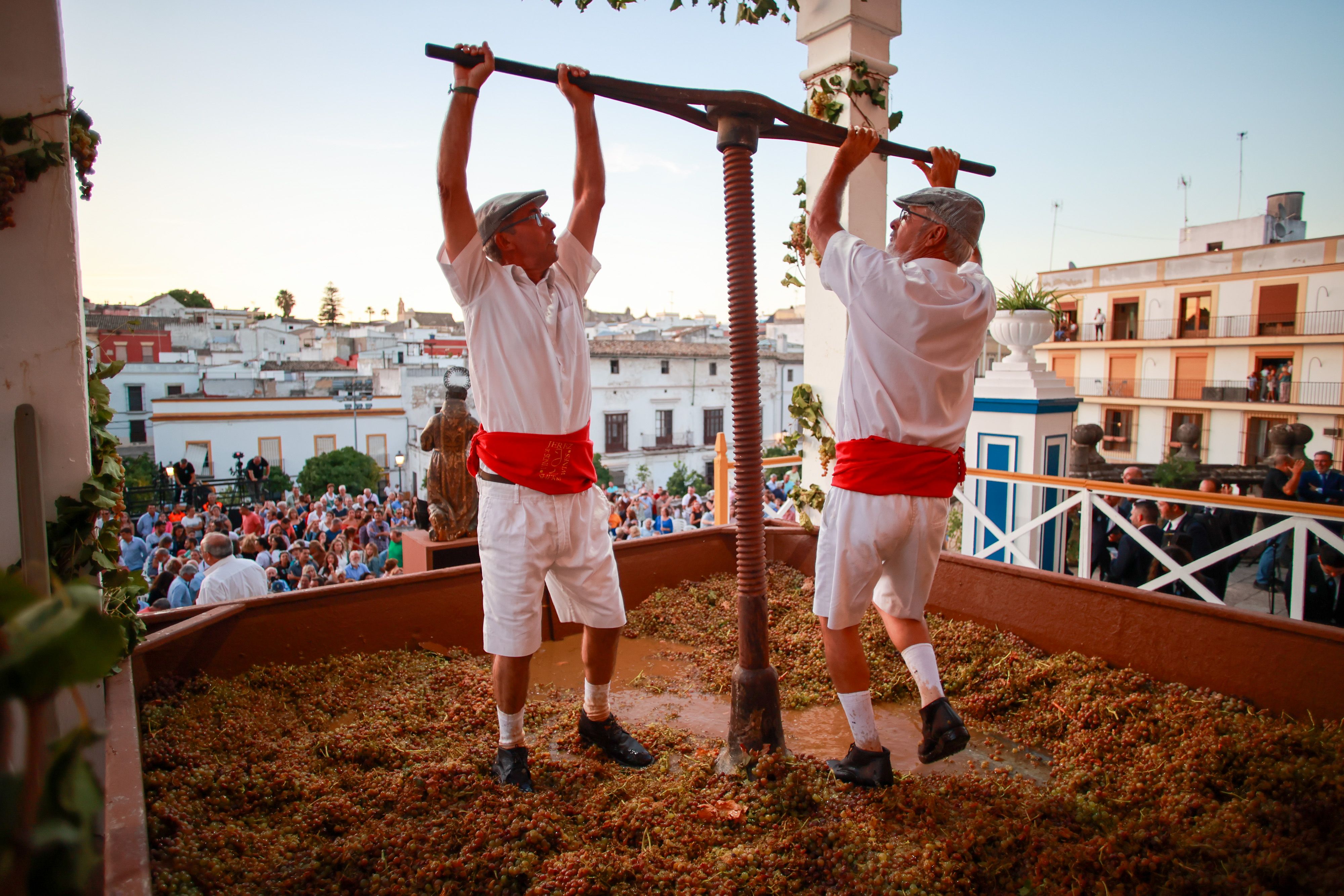 El acto de la Pisa de la Uva 