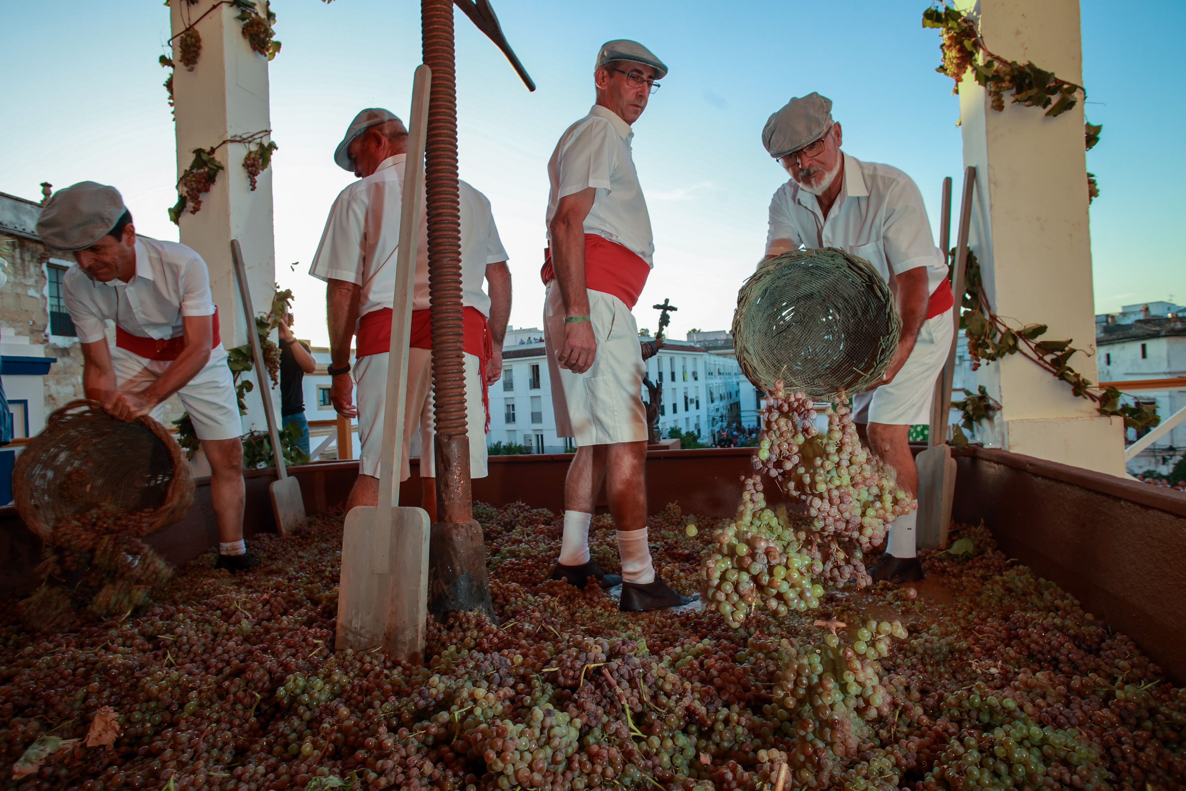 El acto de la Pisa de la Uva 