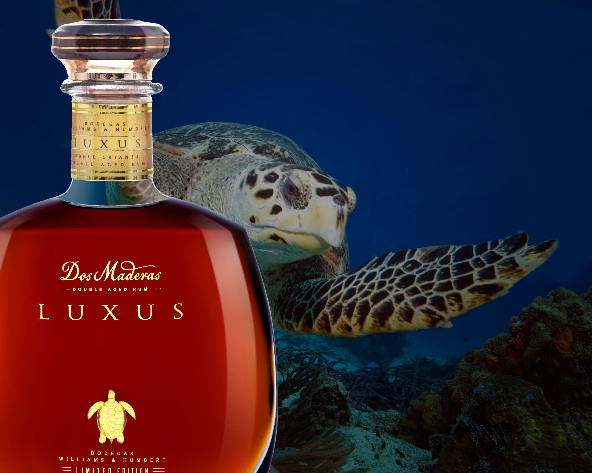 luxus-y-tortuga-compressor