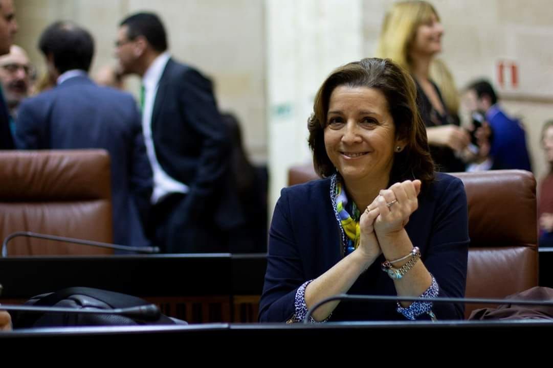 María José Piñero, hasta ahora presidenta provincial de Vox Sevilla.