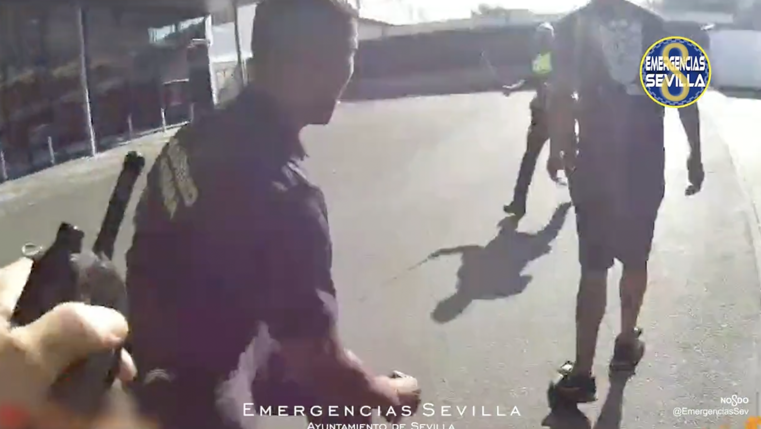 La persecución en coche y a pie por Sevilla.