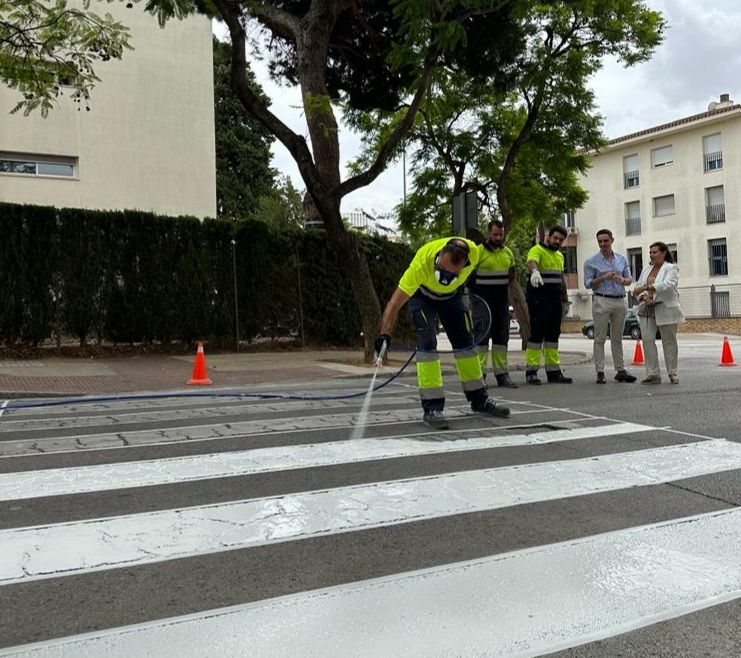 Un paso de peatones cerca de un instituto de Jerez.