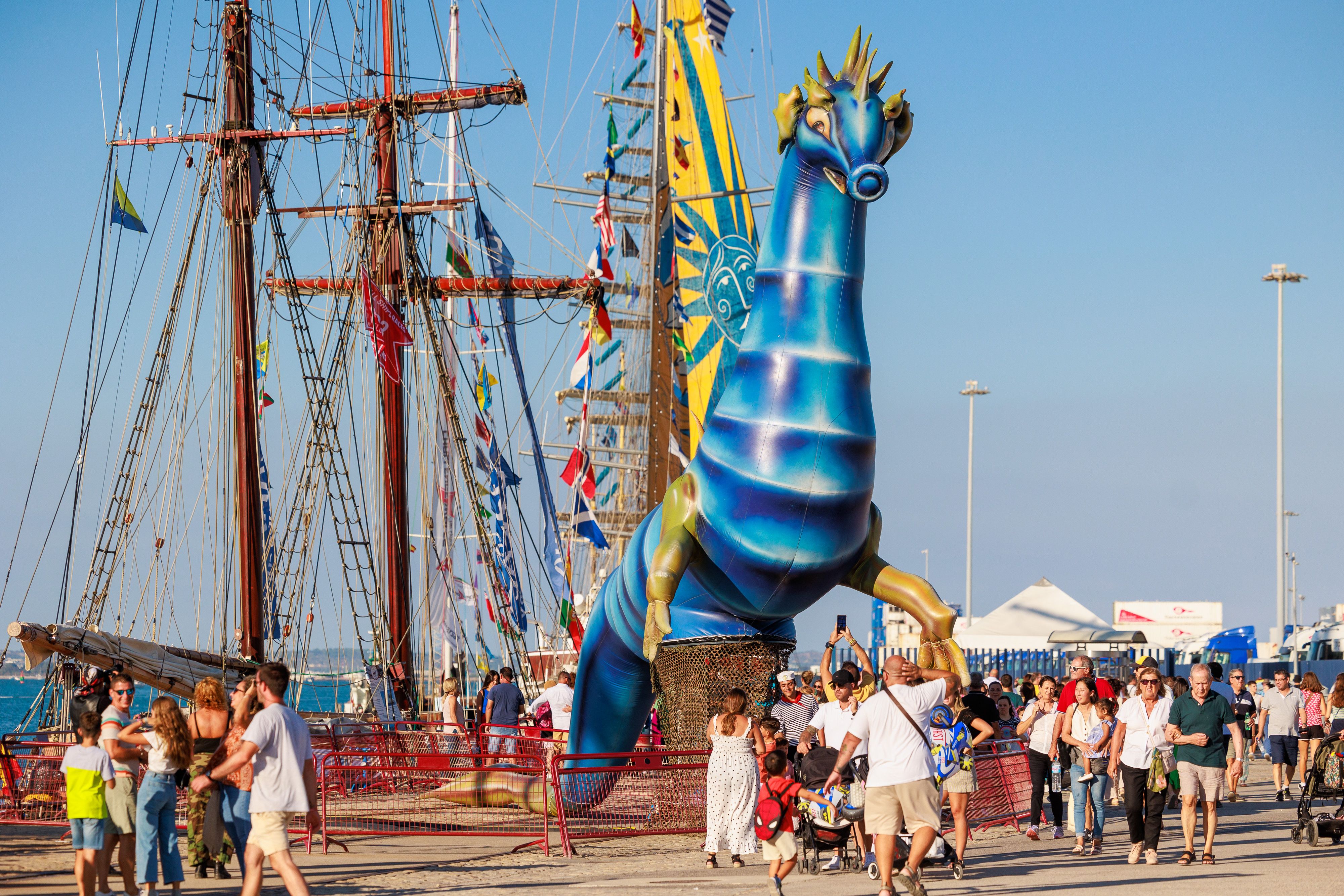 La Gran Regata este sábado, en imágenes